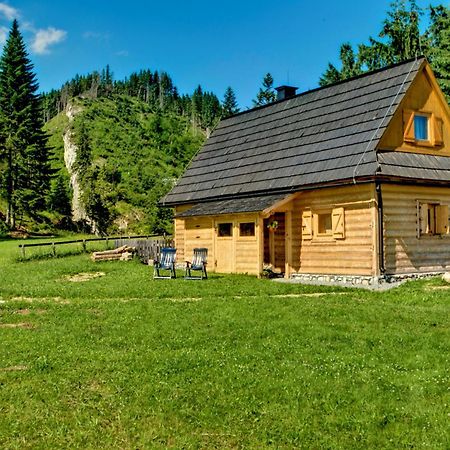 Jedroskowe Chatki Witow  Bagian luar foto