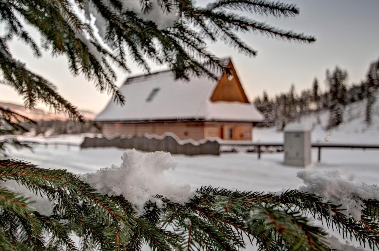 Jedroskowe Chatki Witow  Bagian luar foto