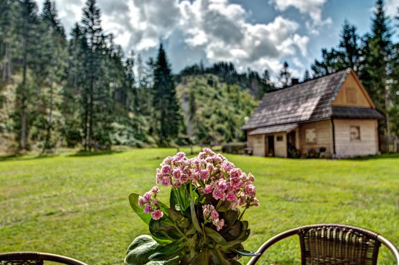Jedroskowe Chatki Witow  Bagian luar foto