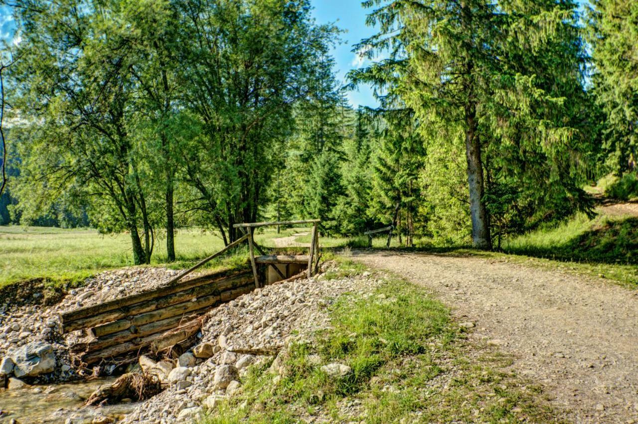 Jedroskowe Chatki Witow  Bagian luar foto